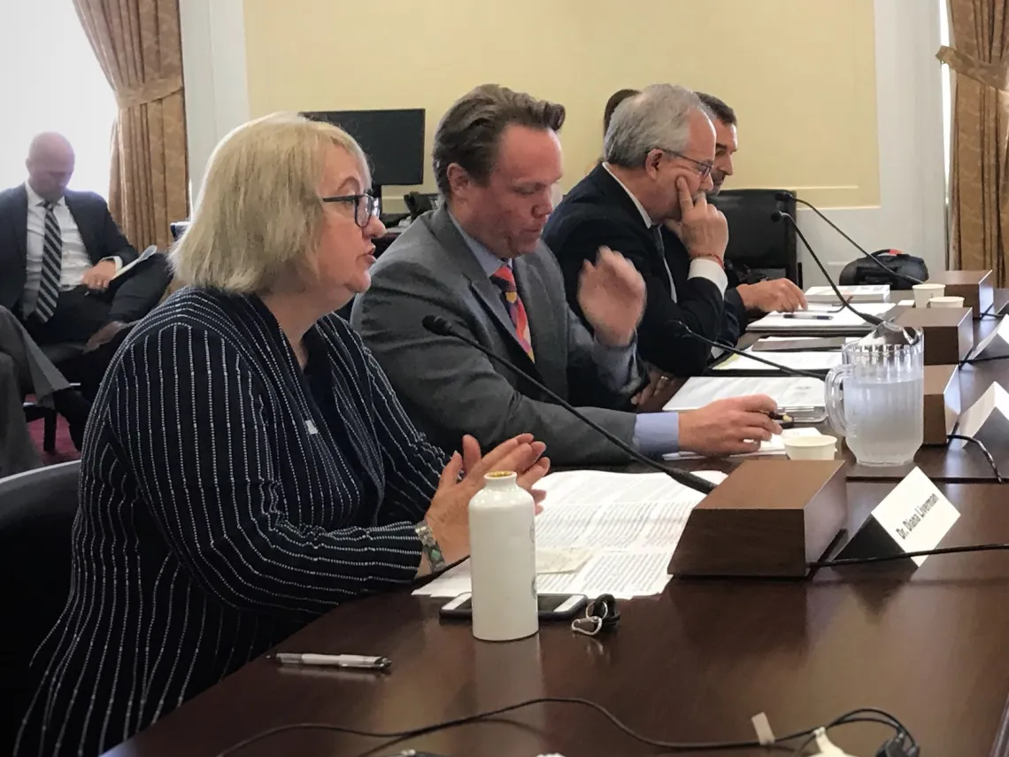 University of Arizona geographer Diana Liverman testified on April 30, 2019, before the House Select Committee on the Climate Crisis.