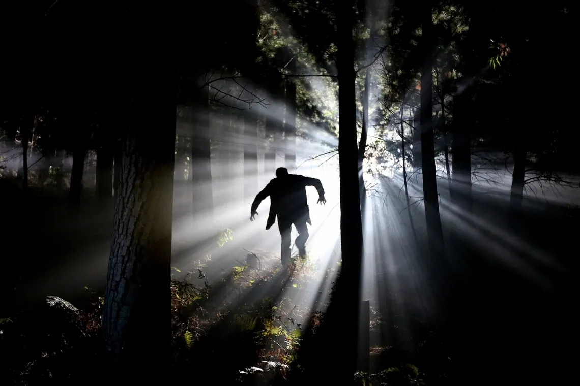 scary figure in the woods