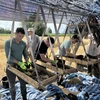 Six men work under a sun shade in a farmland area