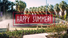 Happy Summer 