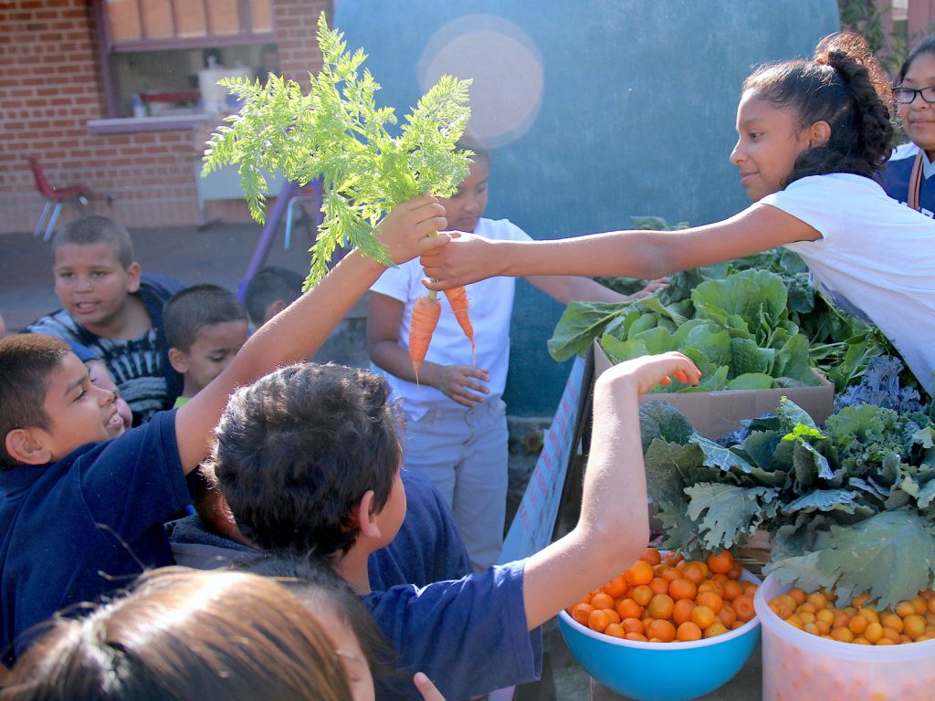 K-12 students gardening and grabbing a carrot