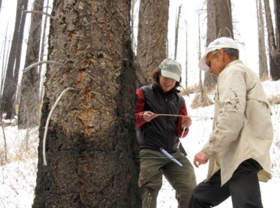 Connie Woodhouse and Mark Losleben examine tree-ring
