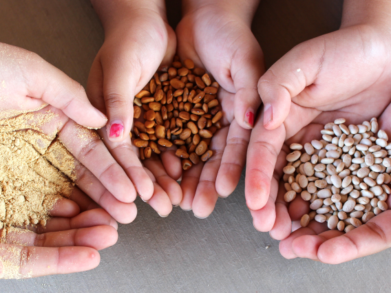 Hands Holding seeds and nuts