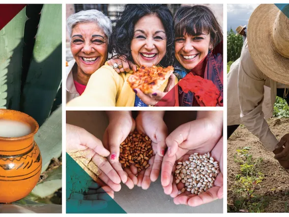 Montage photo of a mug, women smiling, hands holding food and a farmer