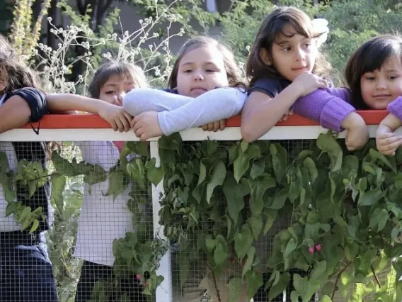 Schoolchildren stand behind a fence overlooking a garden setting