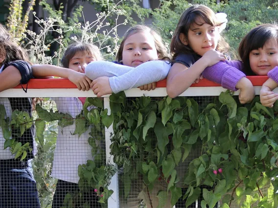 Seven school children stand behind a fence and look out onto a garden space