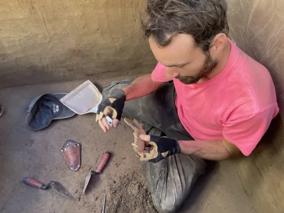 Man with beard and pink shirt, squats in an archaeological site with tools around him and holds a bone