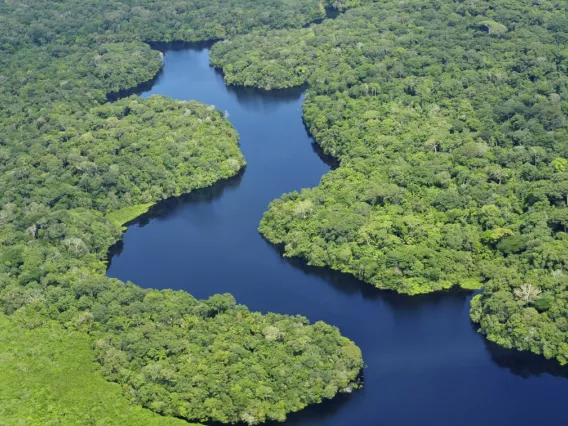 Amazon river