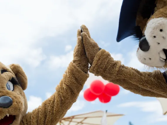 Wilbur and Wilma high fiving