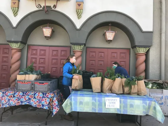 Farmer's market bags