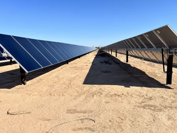 solar panels over dirt