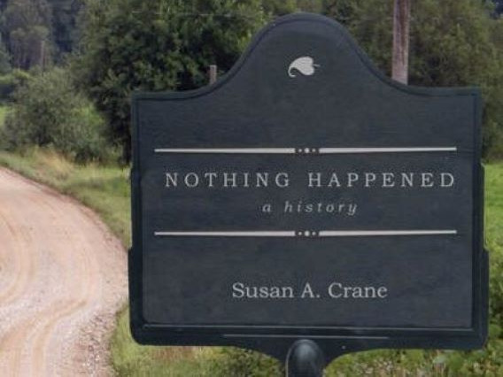 book cover for Nothing Happened: A History