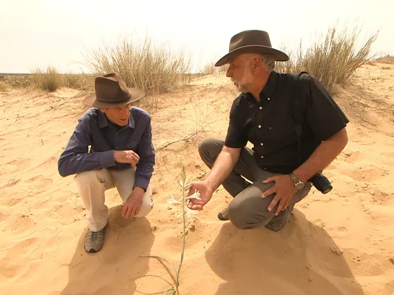 David Yetman (left) at the Pinacate Volcanic Range