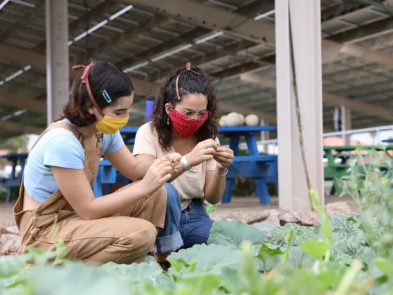 two young women with agrivoltaics