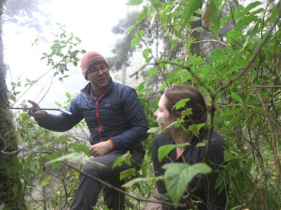 Professor Kevin Anchukaitis and graduate student Talia Anderson coring trees in Guatemala. 