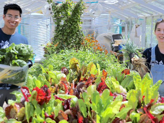 two students in green house with produce