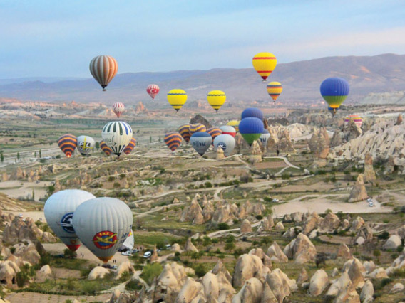 Multiple hot air balloons over landscape