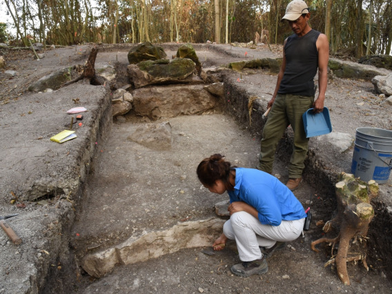 Melina García (front) excavates the central part of Aguada Fenix, the largest and oldest Maya monument ever uncovered.