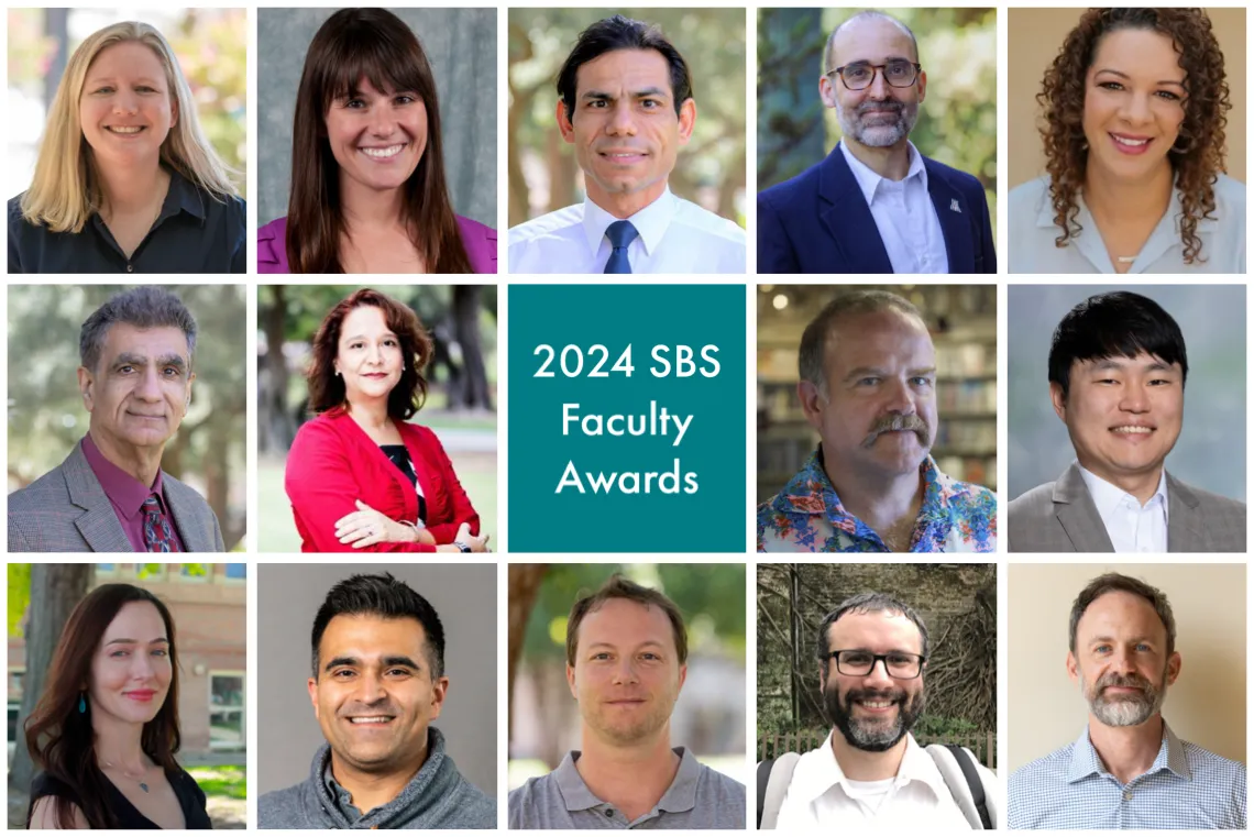 Montage photo of fourteen faculty members and title of the award in the middle box