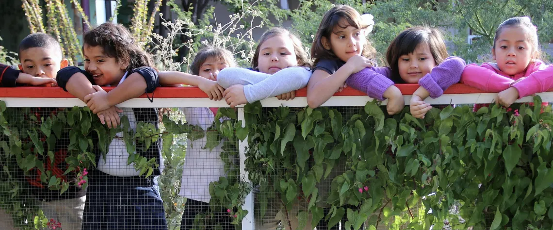 Seven school children stand behind a fence and look out onto a garden space