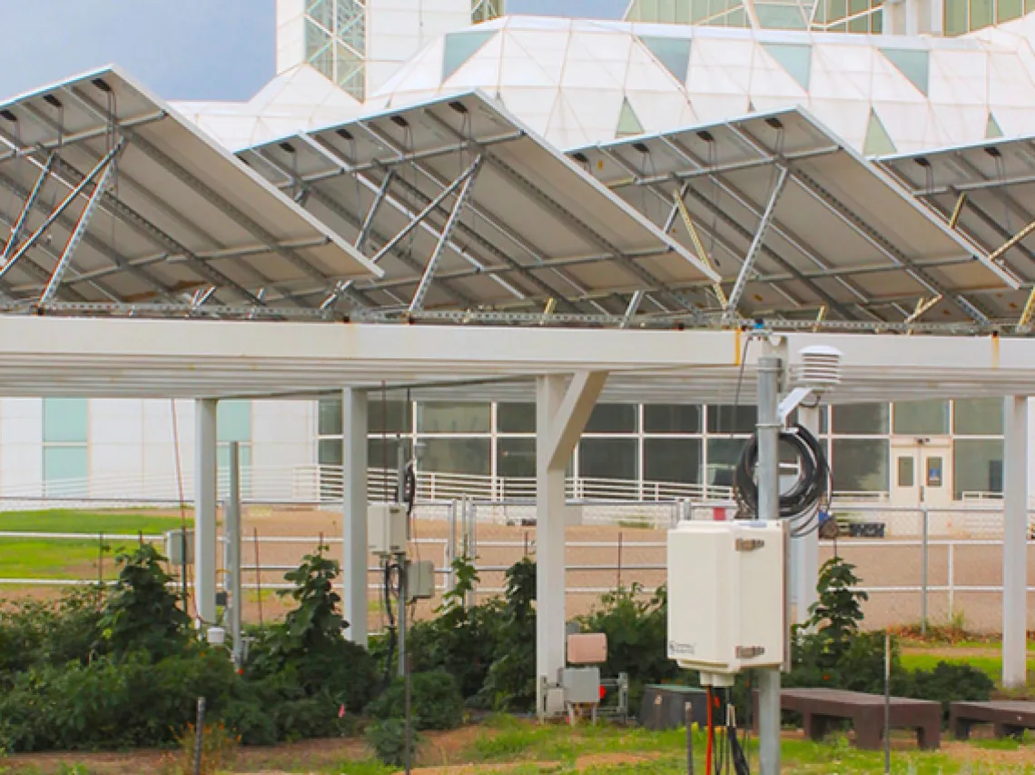 agrivoltaics at Biosphere 2