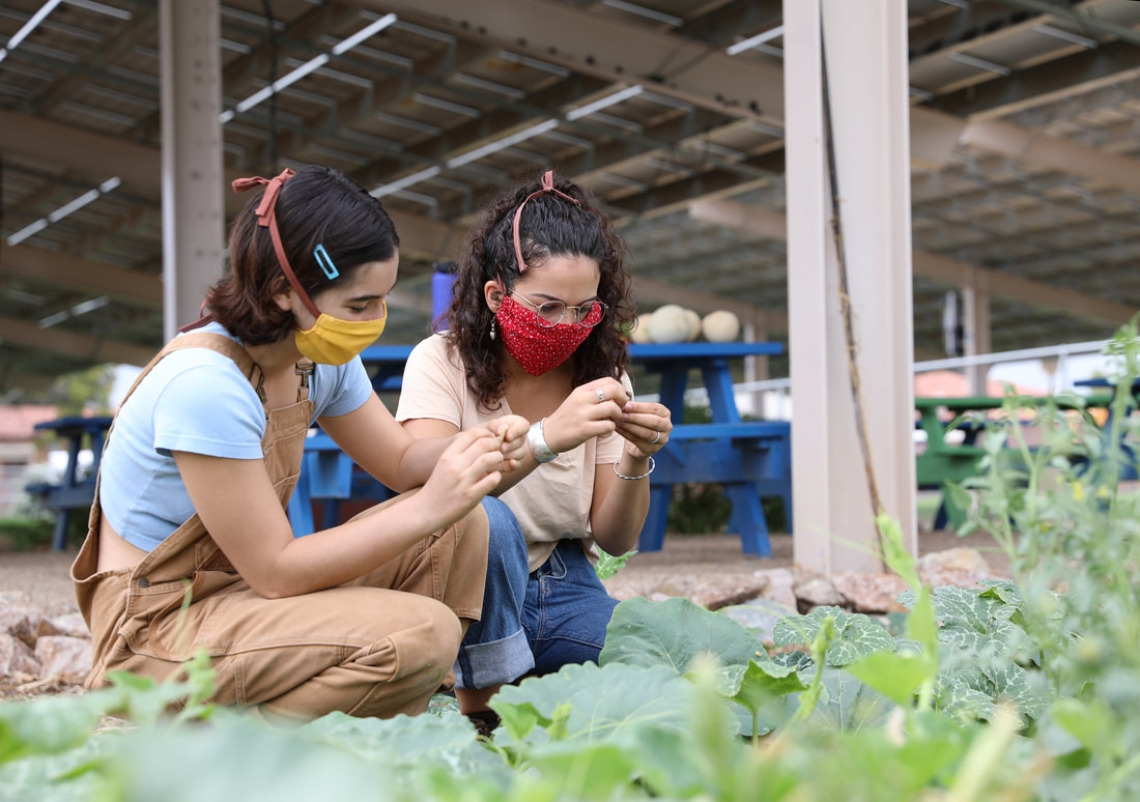 two young women with agrivoltaics