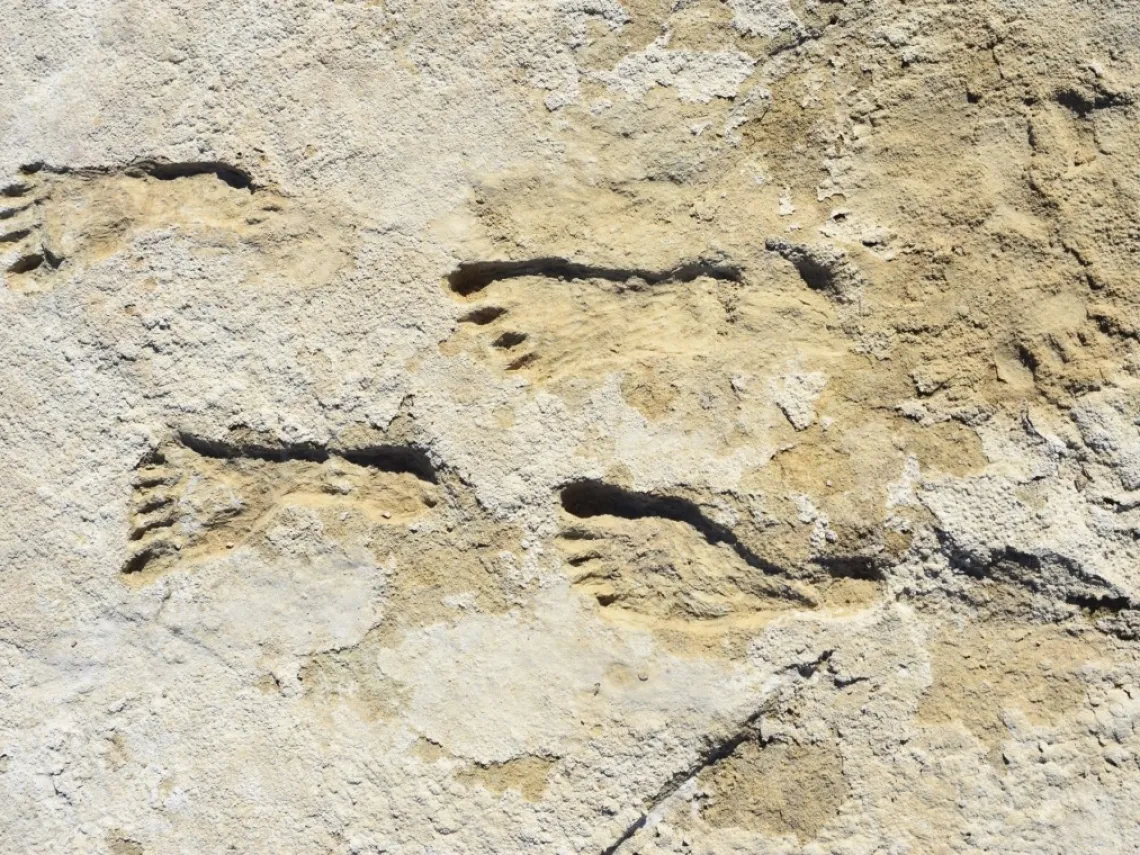 Human footprints at White Sands National Park in New Mexico 