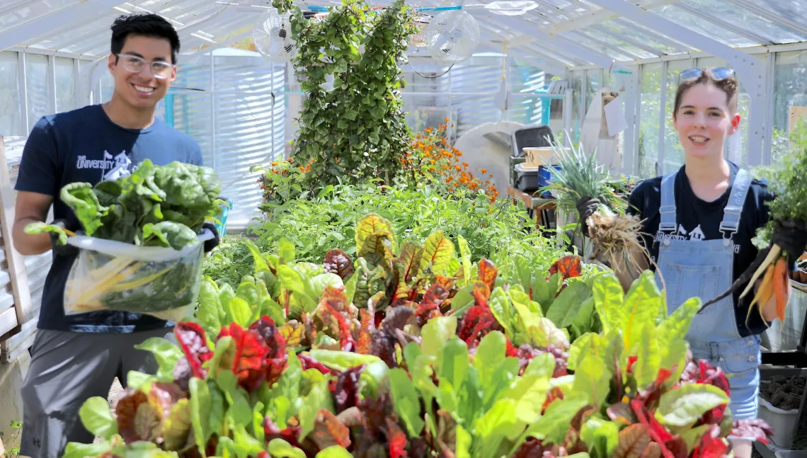 two students in green house with produce