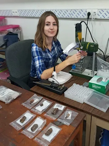 Kayla Worthey examining animal teeth samples in front of a miscroscope