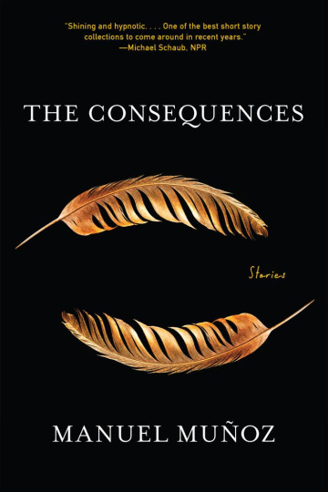 book cover for The Consequences