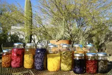 Yarn soaks in jars of plants dye on a table outside with a cactus in the background