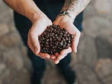 hands holding coffee beans